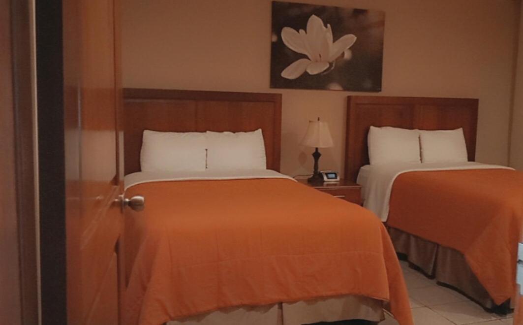 Hotel Primavera Boutique 圣佩德罗苏拉 外观 照片