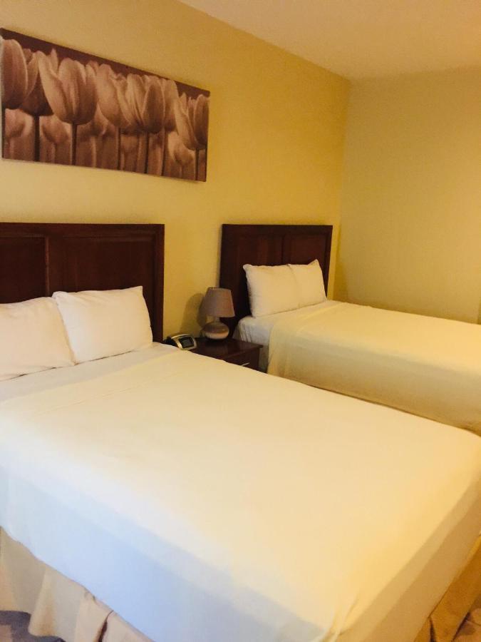 Hotel Primavera Boutique 圣佩德罗苏拉 外观 照片