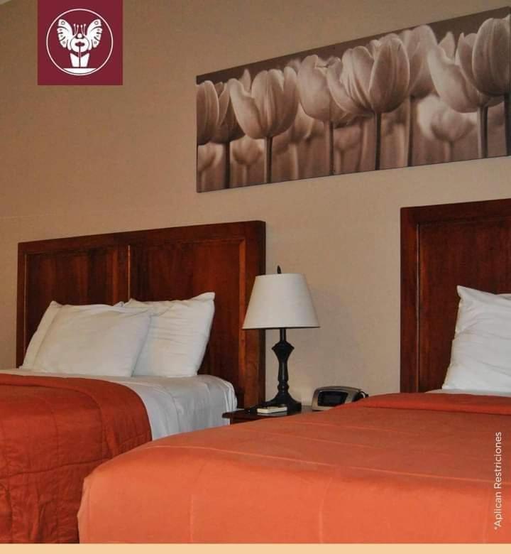Hotel Primavera Boutique 圣佩德罗苏拉 外观 照片